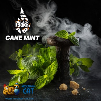 Заказать кальянный табак BlackBurn Cane Mint (БлэкБерн Мята) 100г онлайн с доставкой всей России
